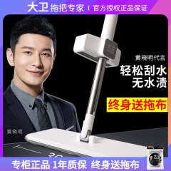 大卫拖把正品2024新款家用一拖净平板免手洗懒人拖地拖布干湿两用