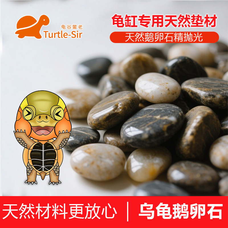 【龟谷鳖老】龟缸造景装饰石头 鱼缸摆件鹅卵石铺面 黄缘龟缸铺底