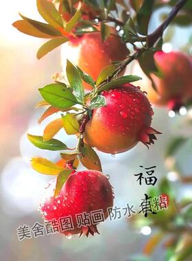 金玉满堂石榴图案贴画多子多福客厅背景贴墙卧室贴冰箱不干胶贴纸