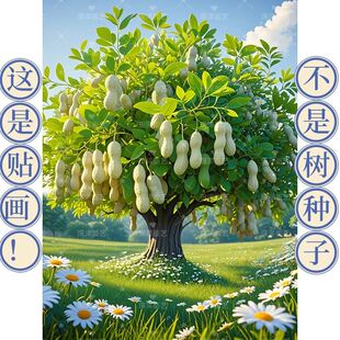 特价树上花生大丰收好事发生多子多福风景画厨房客厅不干胶贴纸