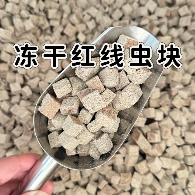 冻干红线虫块上浮型观赏鱼饲料小型鱼粮干红线虫红丝虫干鱼食