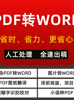 PDF转word人工 图片转word PDF图纸 译前排版 模糊字识别  人工
