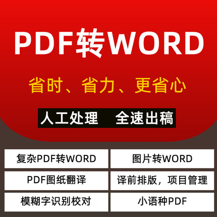 PDF转word人工 图片转word PDF图纸 译前排版 模糊字识别  人工