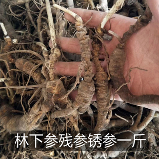 林下参残参锈参新鲜野山参1斤长白山人参野生残参500g特价老山参