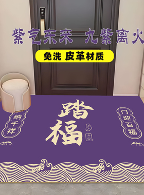 皮革玄关地垫紫气东来入户门门厅脚垫耐脏免洗可擦PVC防滑紫色垫