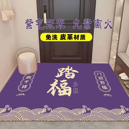 玄关脚垫紫气东来家用2024新款