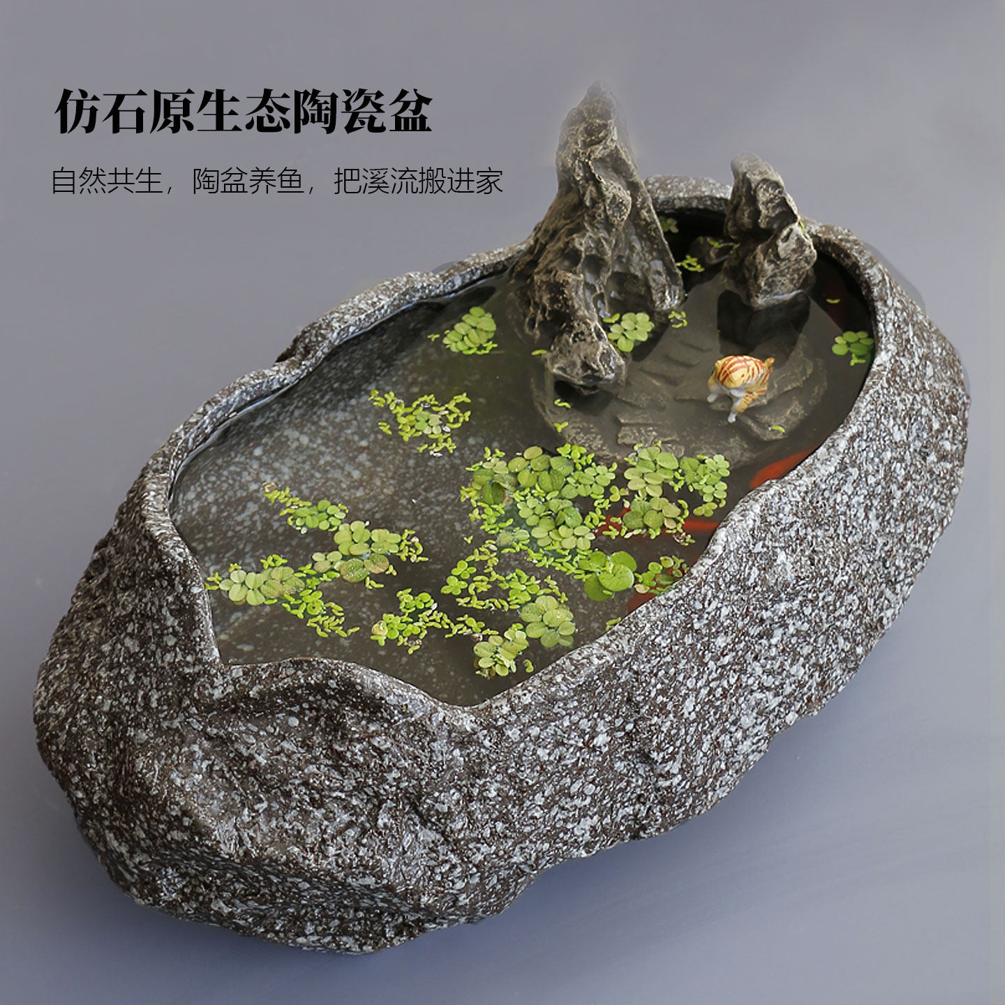 古法养鱼缸生态造景碗莲陶瓷盆家用阳台小鱼池小型装饰仿石头鱼缸
