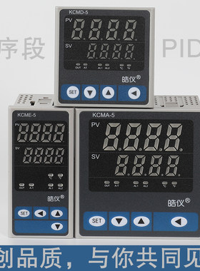 可分段程序段温控仪PID控温RS485