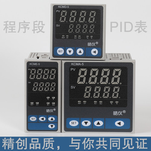可分段程序段温控仪PID控温RS485