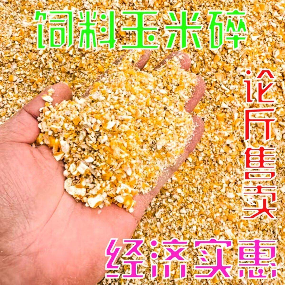 玉米碎喂鸡鸭鹅鸟鸽子打