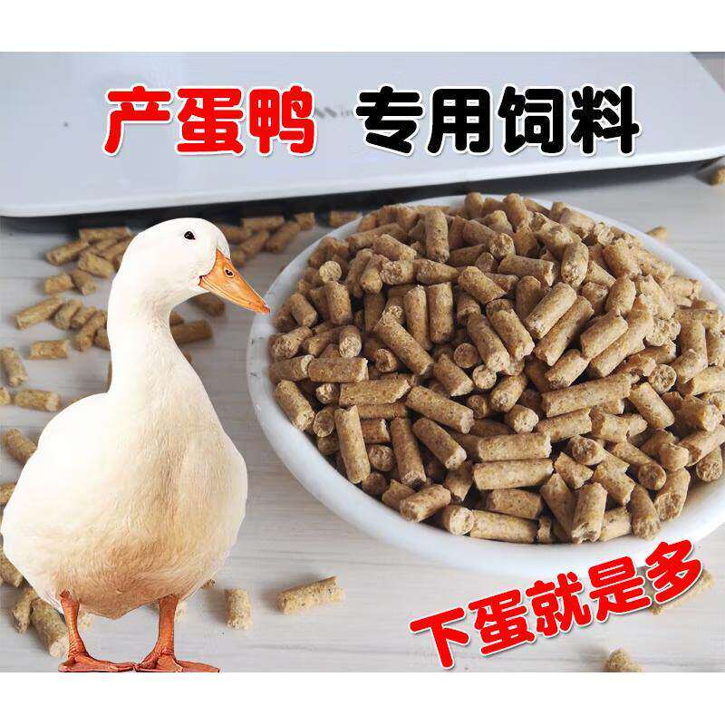 鸡饲料小鸡育雏开口料中