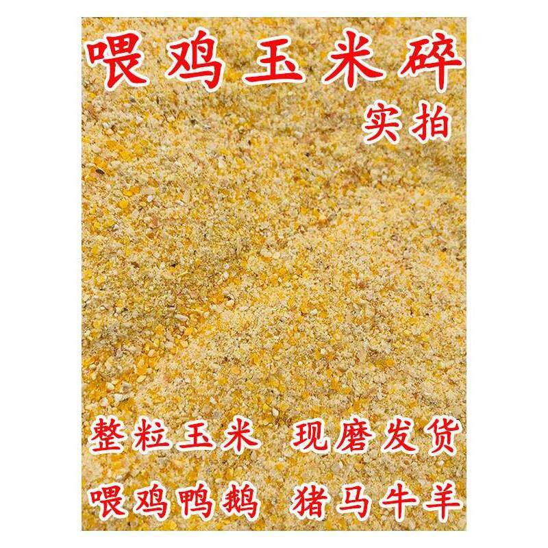 新鲜喂鸡玉米粉苞米面鸭
