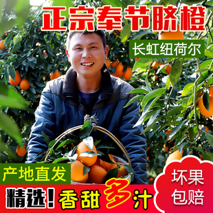 【顺丰/京东】奉节脐橙纽荷尔现摘现发多汁孕妇新鲜应季水果橙子