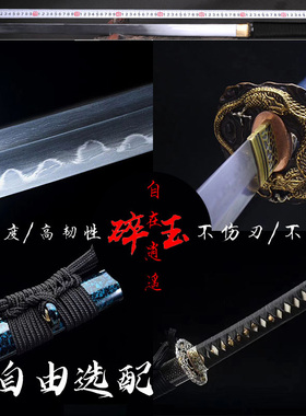 龙泉市DIY定制宝剑武士刃唐剑武术训练刀剑一体式日本长剑未开刃