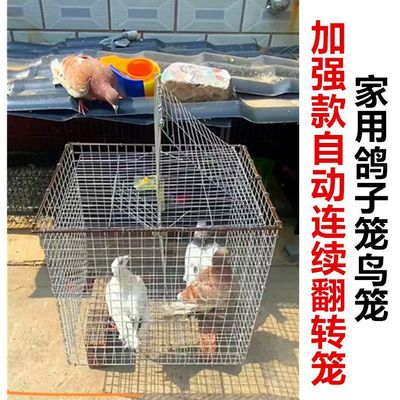 新款自动翻转笼只进不出鸽子笼