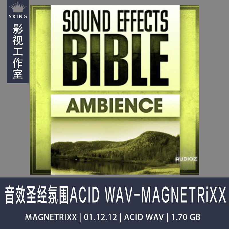 Sound Effects Bible Ambience Sound Bible Atmosphere ACID WAV-MAGNETRiXXin the Musical Instruments/Guitar/Piano/Fitting ,  MIDI Musical Instruments/Computer Music , Soft sound  category - from Buy2taobao.com to provide professional Taobao agent buy service
