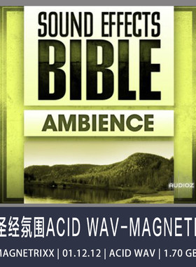 Sound Effects Bible Ambience音效圣经氛围ACID WAV-MAGNETRiXX