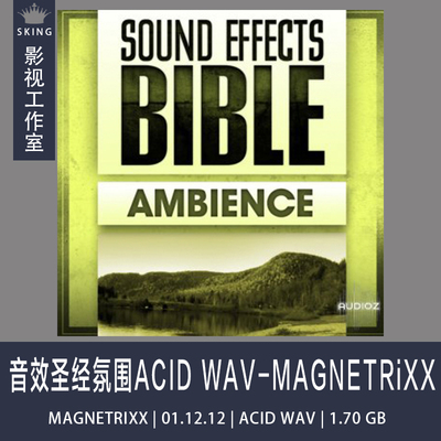Sound Effects Bible Ambience音效圣经氛围ACID WAV-MAGNETRiXX