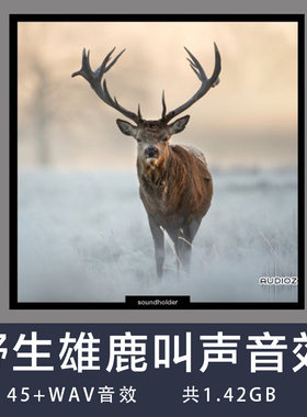 Soundholder Roaring Stags野生雄鹿叫声音效 WAV