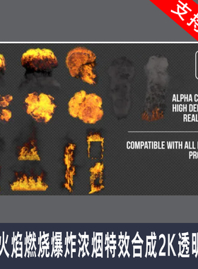 100种2D动画FX效果火焰烟雾闪光血液飞溅水流体MG图形视频素材