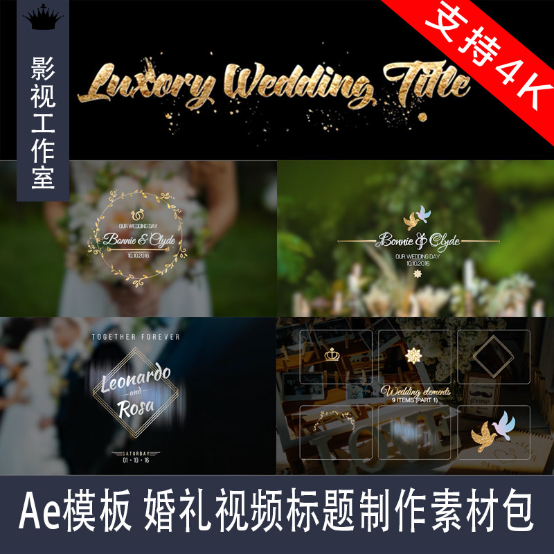 Ae模板 婚礼视频标题制作素材包 Luxory Wedding Title Kit