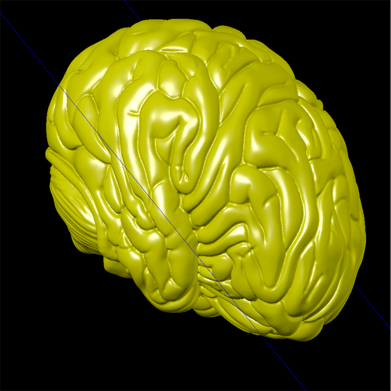 大脑人体艺术三维立体图圆雕图纸stl文件雕刻机3d打印模型素材