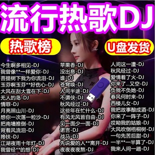 2026流行热歌DJ音乐U盘抖音网络流行歌曲伤感情歌优盘无损音质MP3