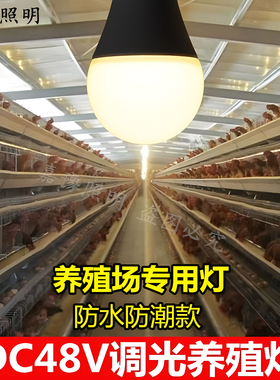 低压led直流DC48V伏可调光220V灯泡养鸡场照明灯防水家禽养殖专用