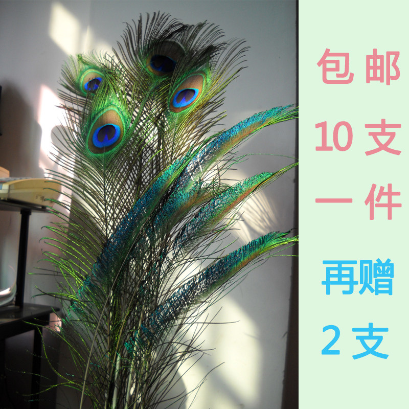 孔雀羽毛纯天然真孔雀毛花瓶装饰ins插花diy手工材料25-120cm特价