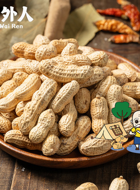 盐焗甜酒花生花生咸干五香盐水白晒湿烤水煮花生带壳炒货零食熟