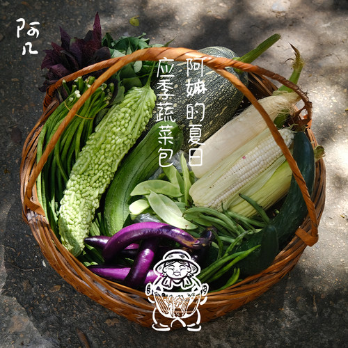 十月约秋季蔬菜包 阿几精选 千米高山 农家自留自种 顺丰包邮