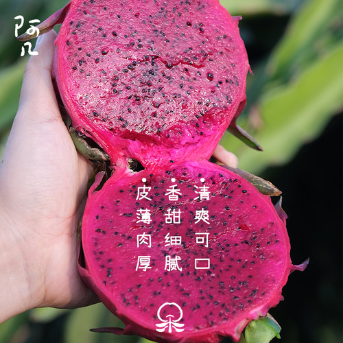 有机种植香甜细腻清爽可口