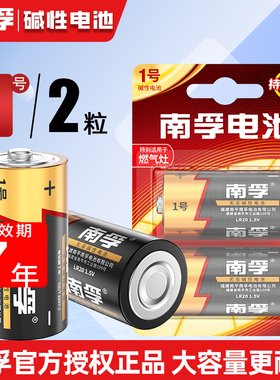 南孚碱性1号大号LR20电池煤气灶专用 一号大号燃气炉热水器天然气
