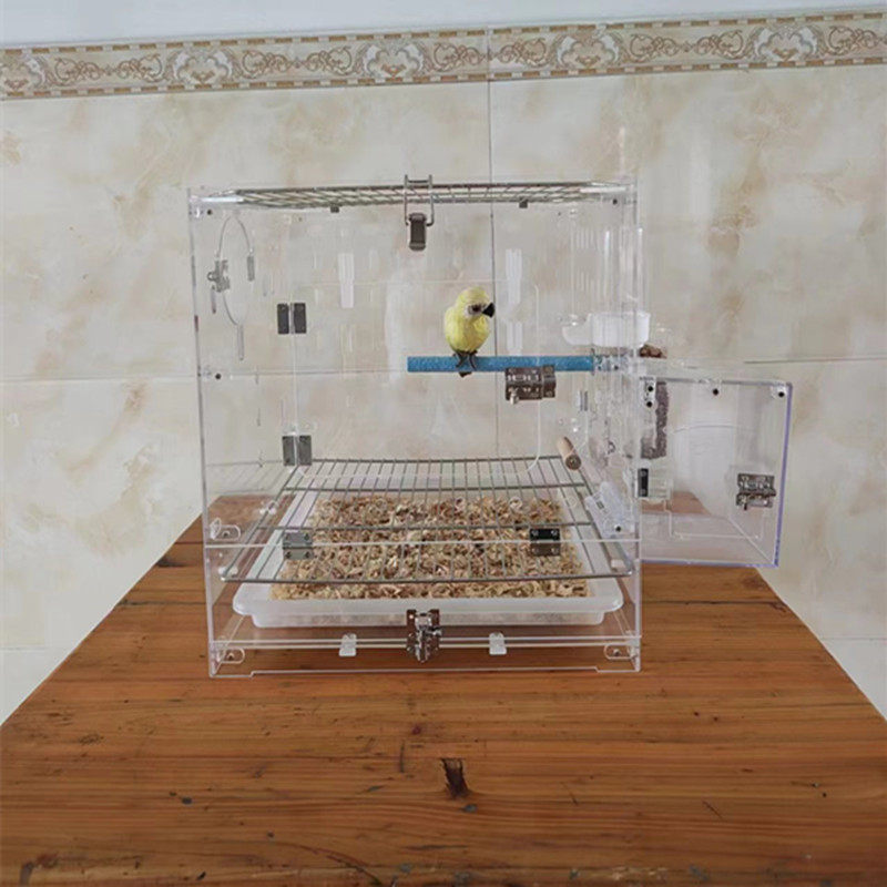 新款亚克力鸟笼鹦鹉保温箱饲养箱客厅笼亚克力透明笼虎皮牡丹横斑,宠物/宠物食品及用品,鸟笼,淘宝优惠券,粉丝福利购,淘宝优惠卷