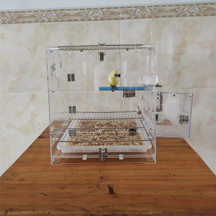 新款亚克力鸟笼鹦鹉保温箱饲养箱客厅笼亚克力透明笼虎皮牡丹横斑