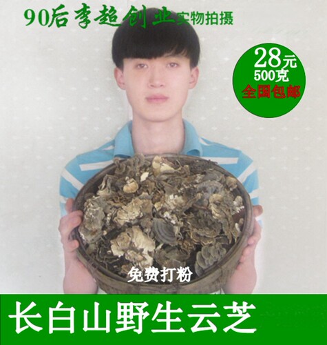 长白山整枝500g包邮野生灵芝