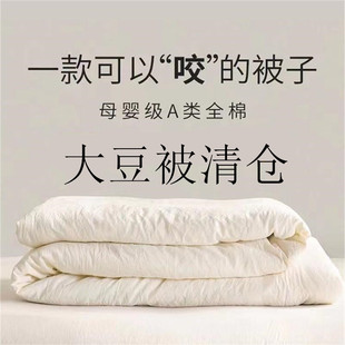 a类原棉大豆纤维被子空调被夏凉被春秋被冬季 被芯学生宿舍单双人