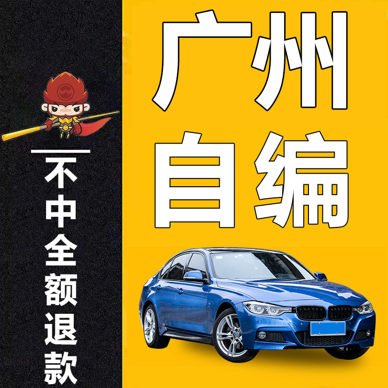 广东广州深圳珠海东莞汕头新汽车其它服务