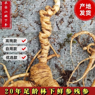 新鲜林下参残参残枝微残20年老山参籽货移山参野山参长白山鲜人参