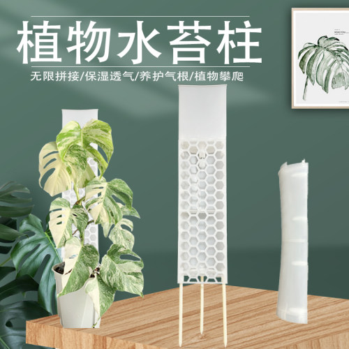 龟背竹热植攀爬可拼接保湿水苔柱