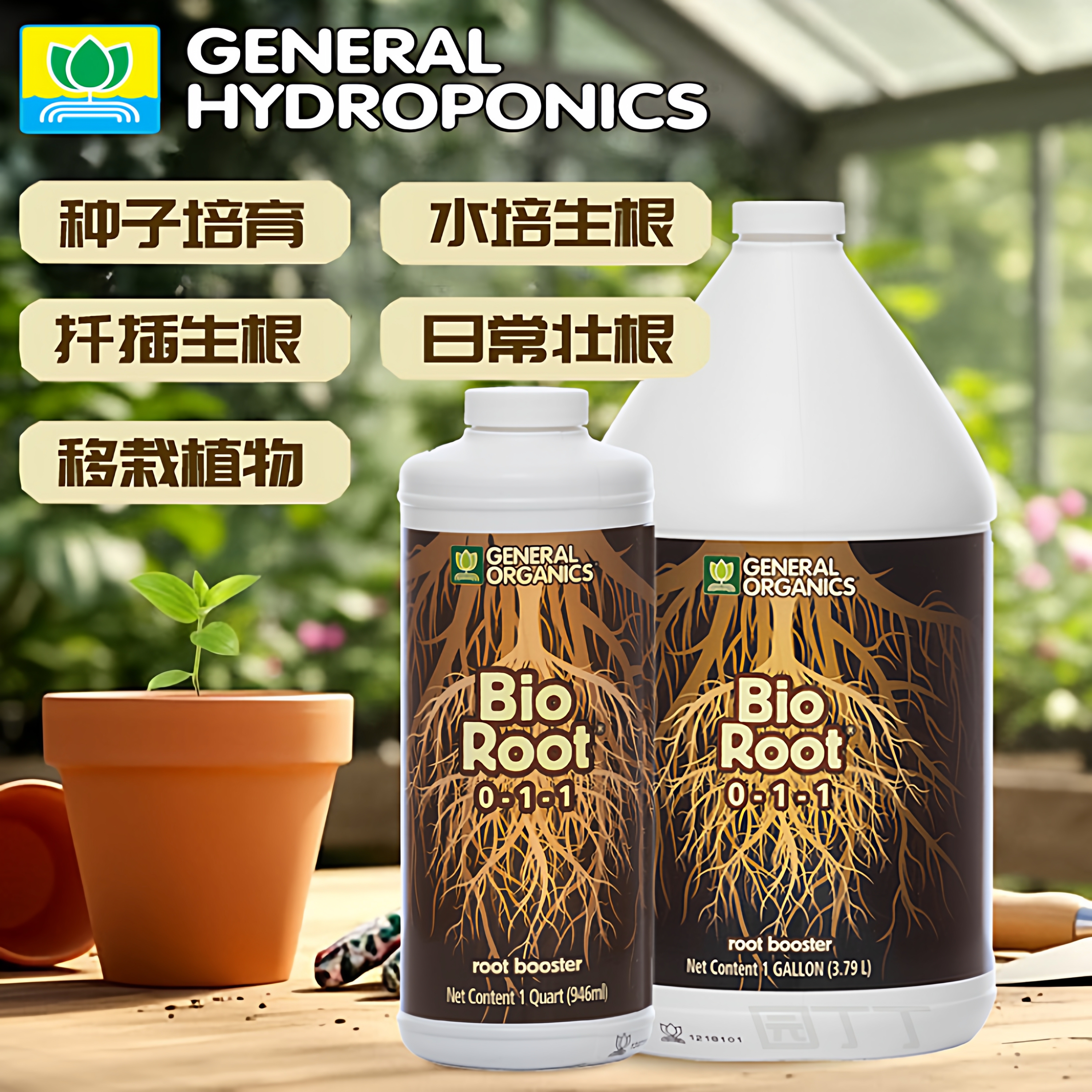 热植物生根扦插育苗移栽生根水培