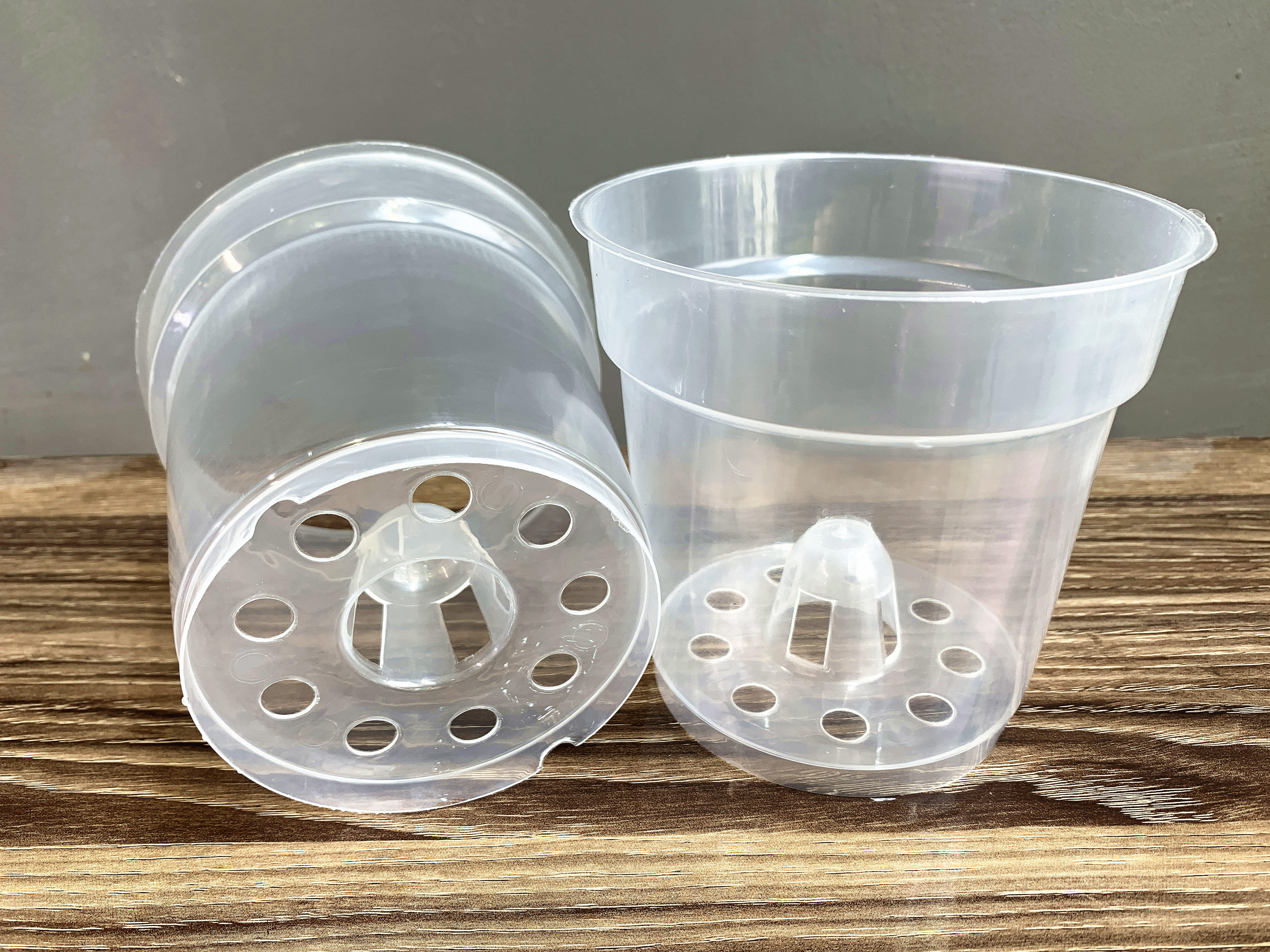 植物育苗杯绿植发芽种植蝴蝶兰花盆透明硬塑料杯定植播种透气透水