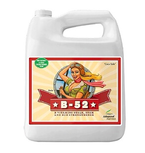 Advanced NutrientsB-52植物维生素加强茎杆枝芽分化促进光合作用