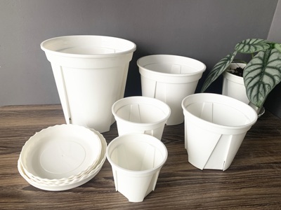 花盆白色透明控根种植盆育苗养花