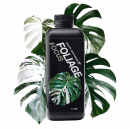 GrowthTechnology观叶绿白锦化龟背竹营养液蕨类草本花烛植物肥料