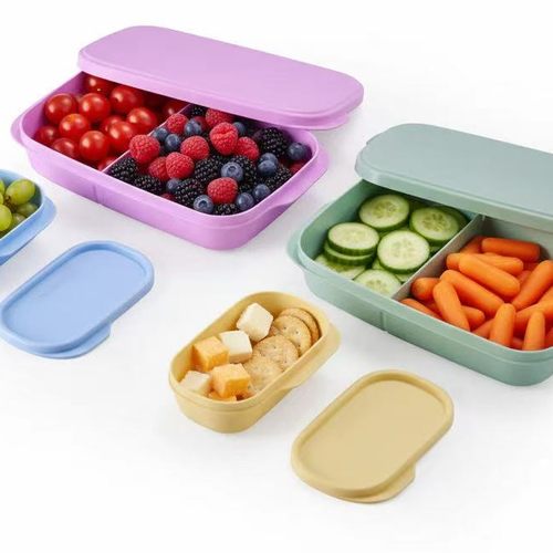 （海）特百惠590ml 分隔纤美饭盒  紫色/绿色（不带小盒）