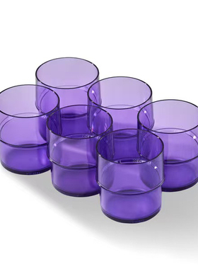 （海）特百惠250ml紫色杯子