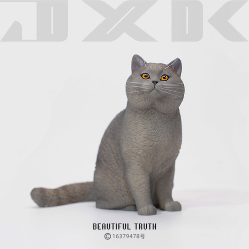 【JXK】英国短毛猫模型手办