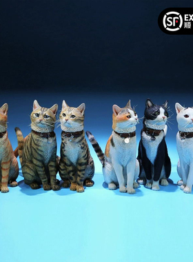 JXK 仿真家猫橘猫狸花猫三花猫模型 迷你猫咪摆件黑足猫手办