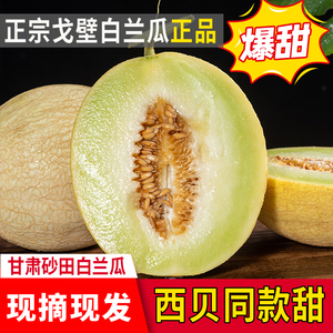 甘肃戈壁白兰瓜银蒂网纹蜜瓜沙漠民勤新鲜当季水果整箱香西贝甜瓜